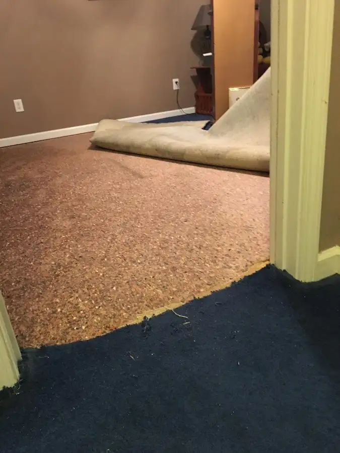 Carpet pad removal revealing water damage during Drying & Dehumidification in Wilsonville