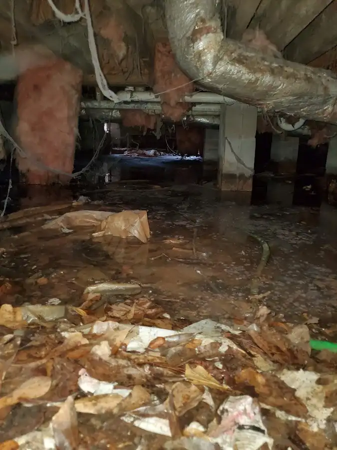 Crawl space flood assessment for Commercial Water Damage Restoration in Wilsonville